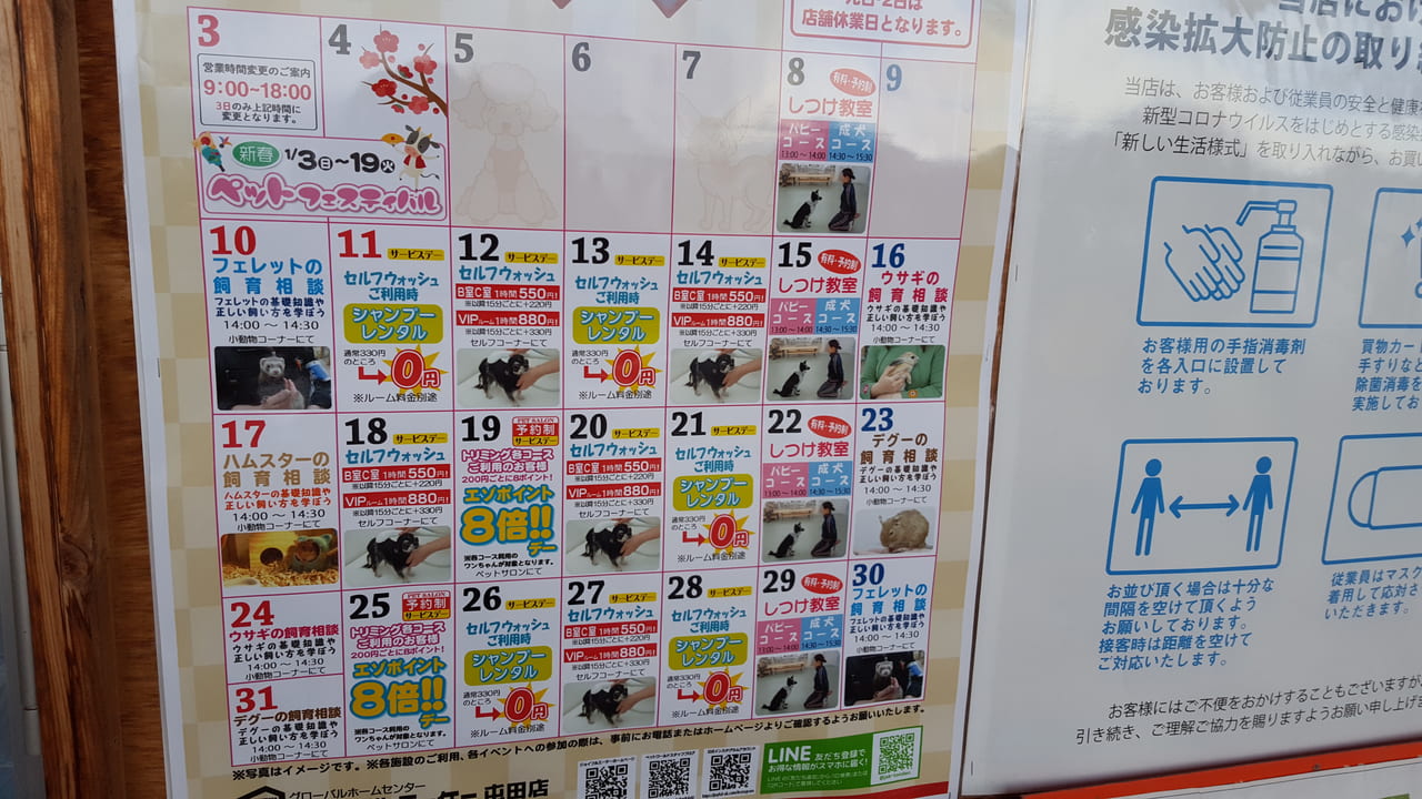 札幌市北区 ジョイフルエーケー屯田店 のペットワールドはイベントが大充実 小動物を飼っている方 これから飼いたい方にきっと役立ちますよ 号外net 札幌市北区