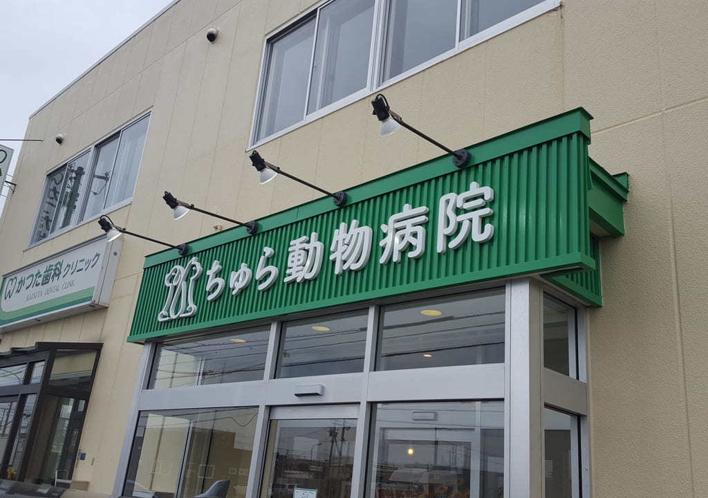 ちゅら動物病院