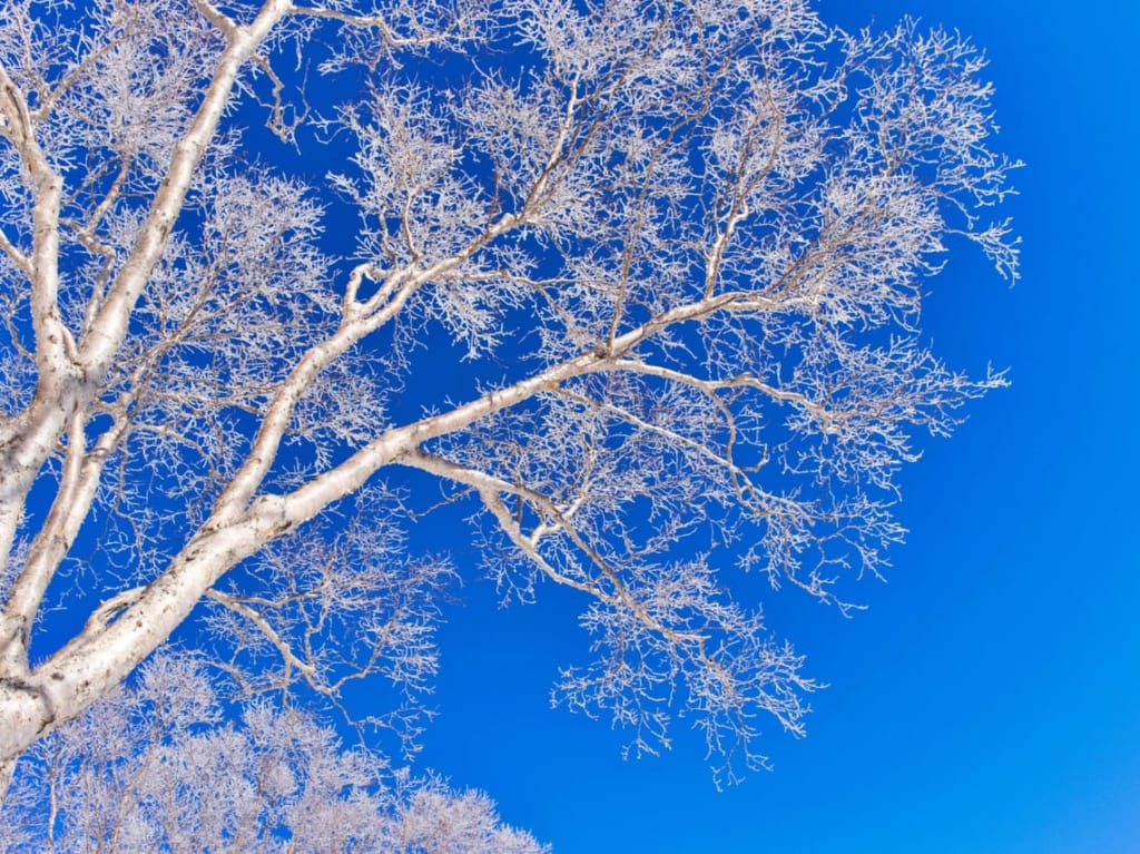 雪