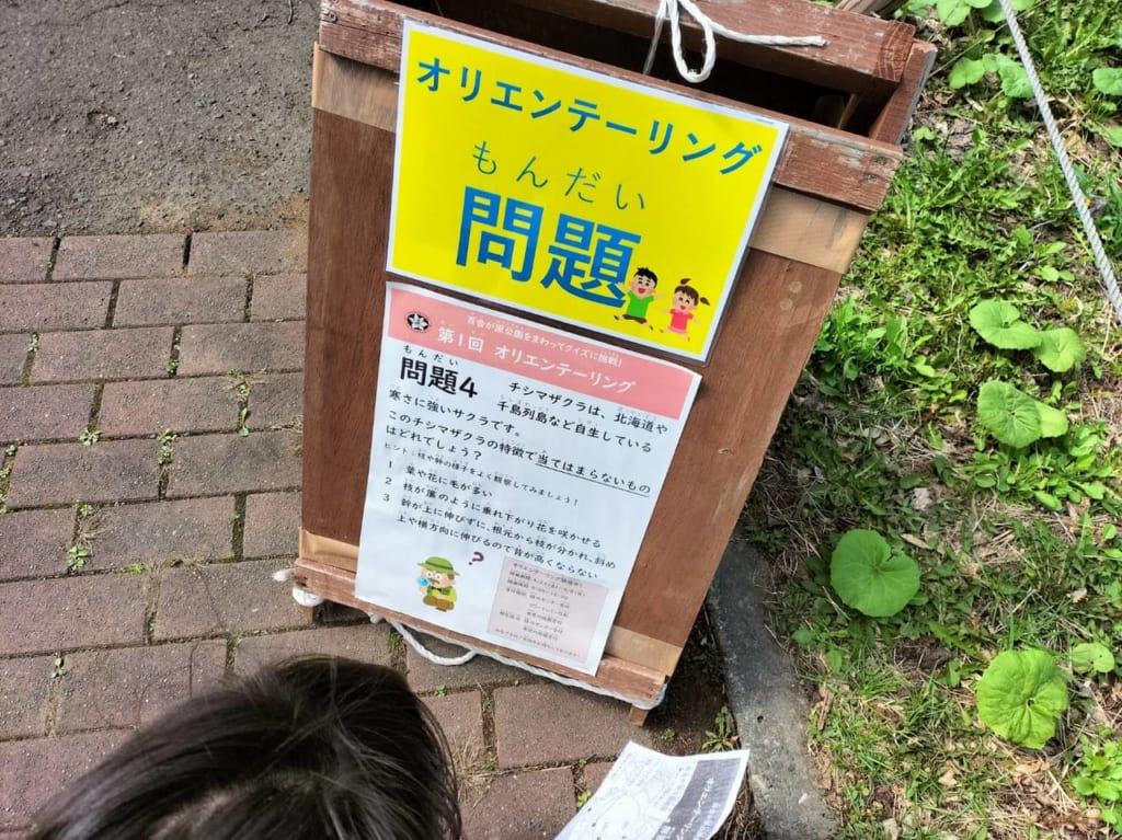百合が原公園