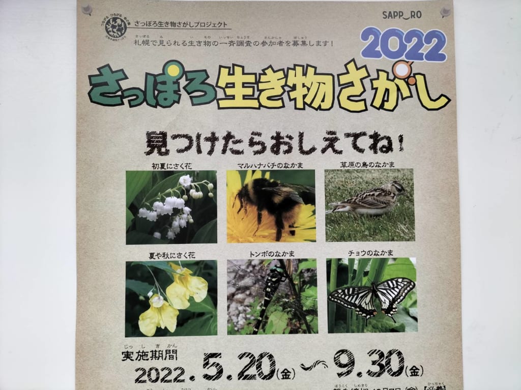 生きもの探し2022