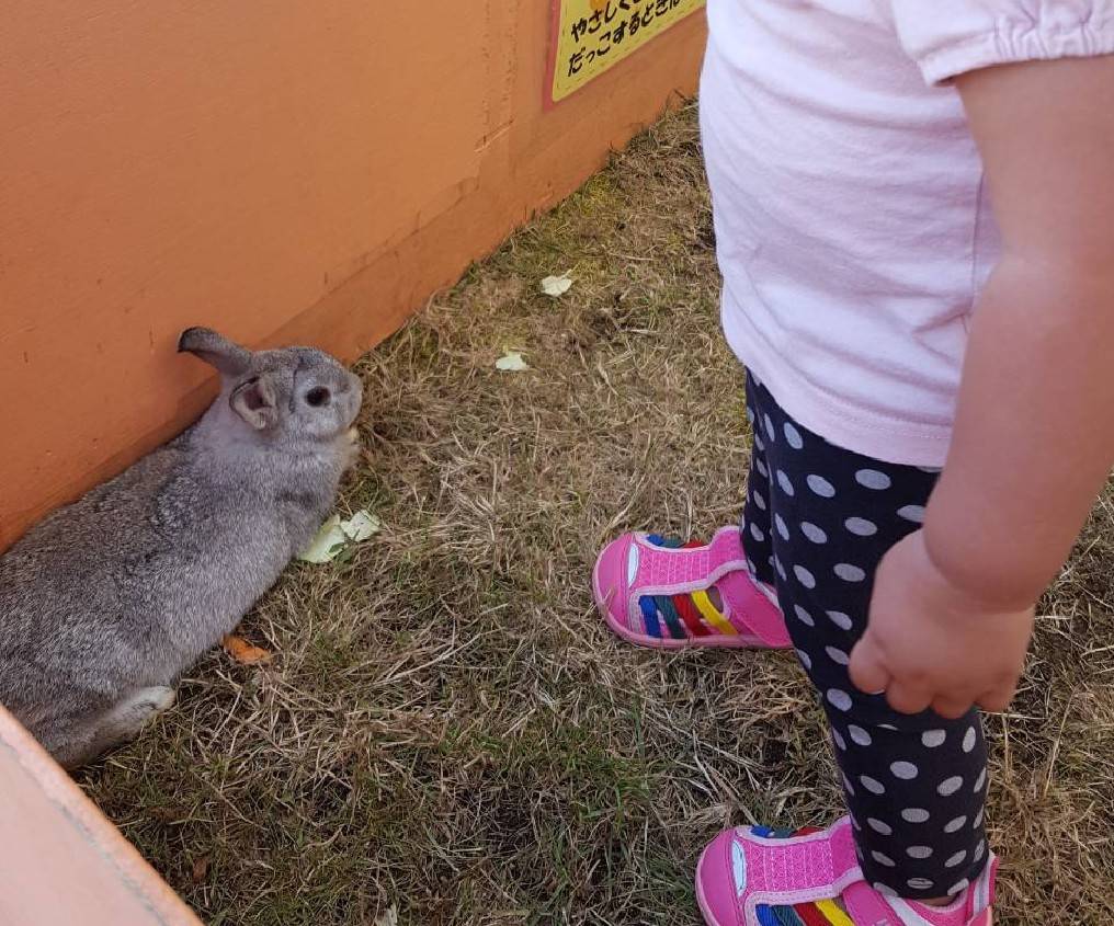 移動動物園