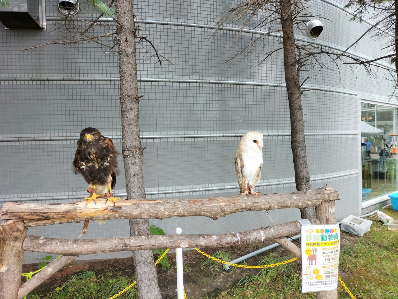 移動動物園