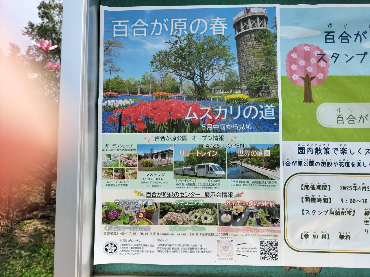 百合が原公園