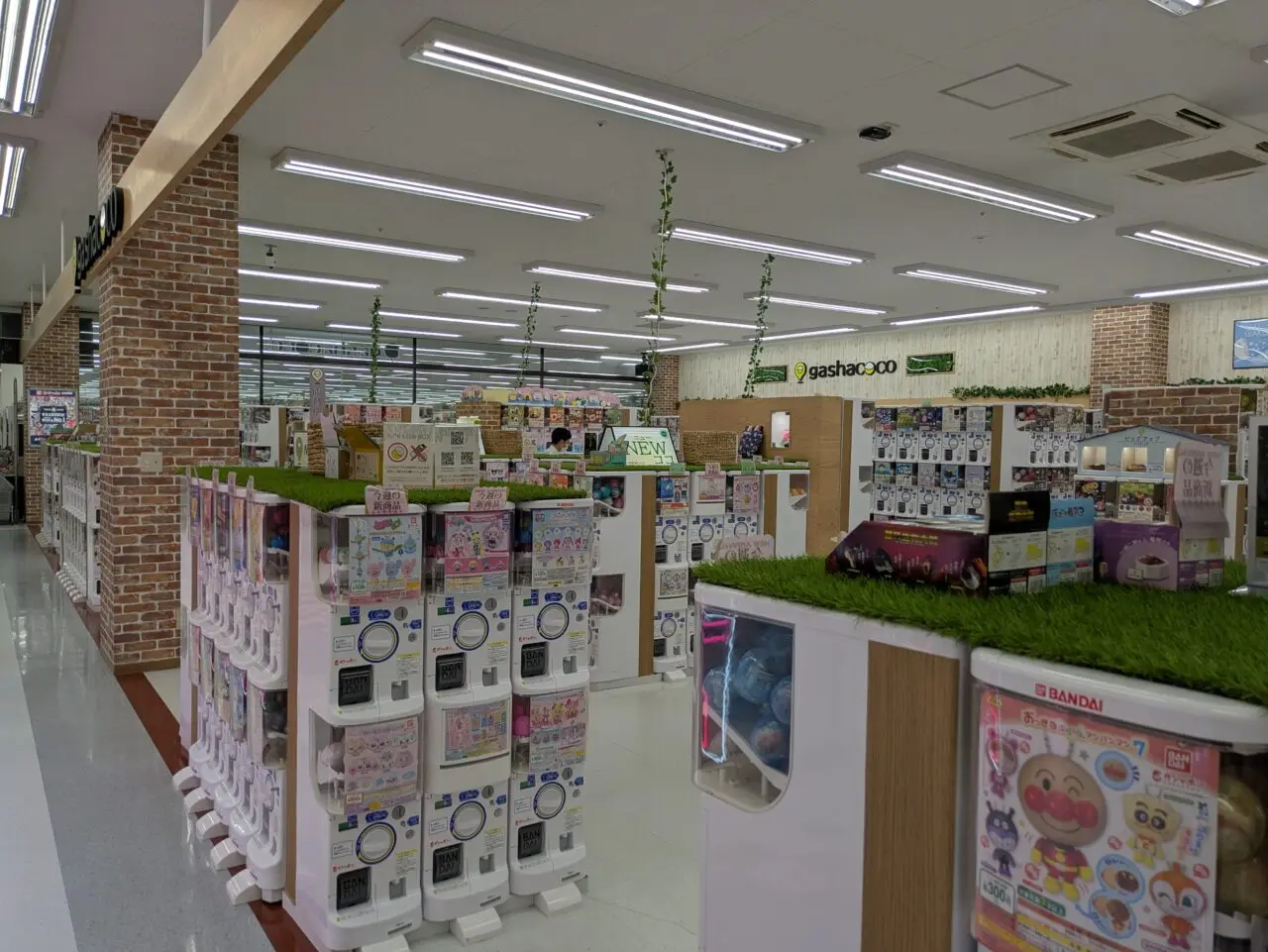 コーチャンフォー