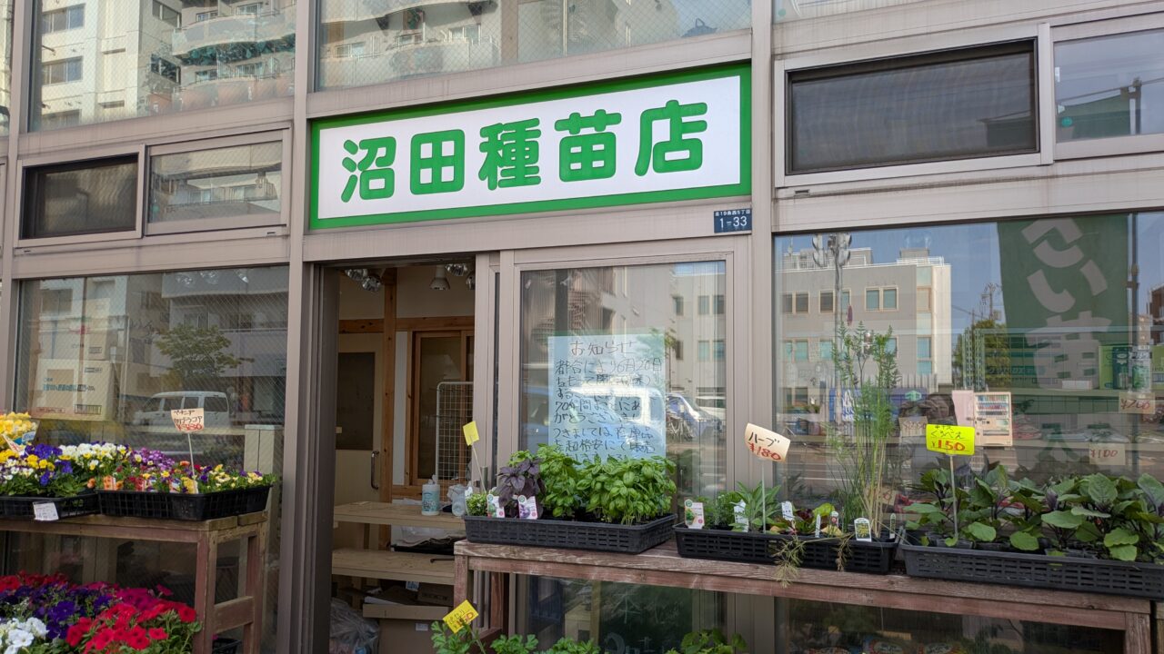 沼田