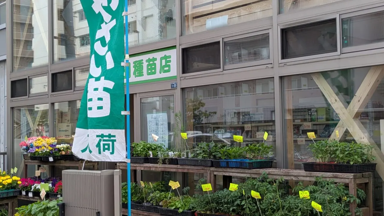 numata