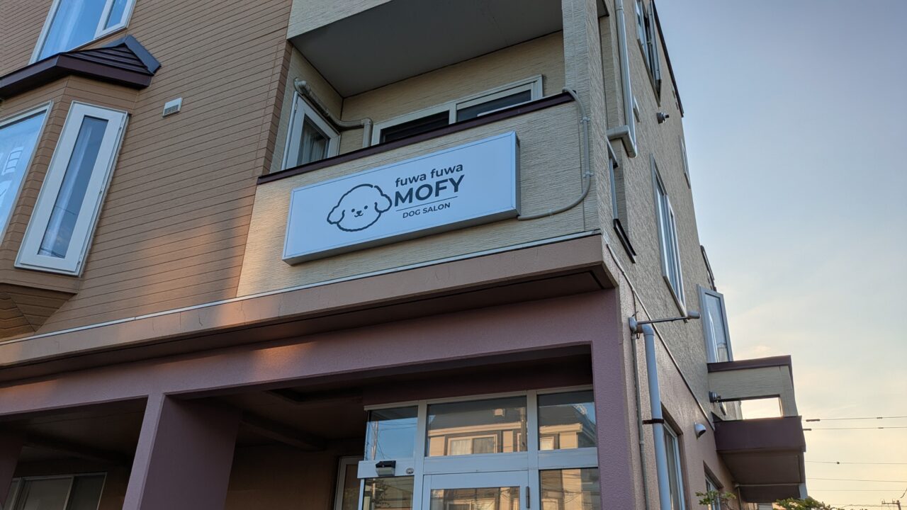 mofy