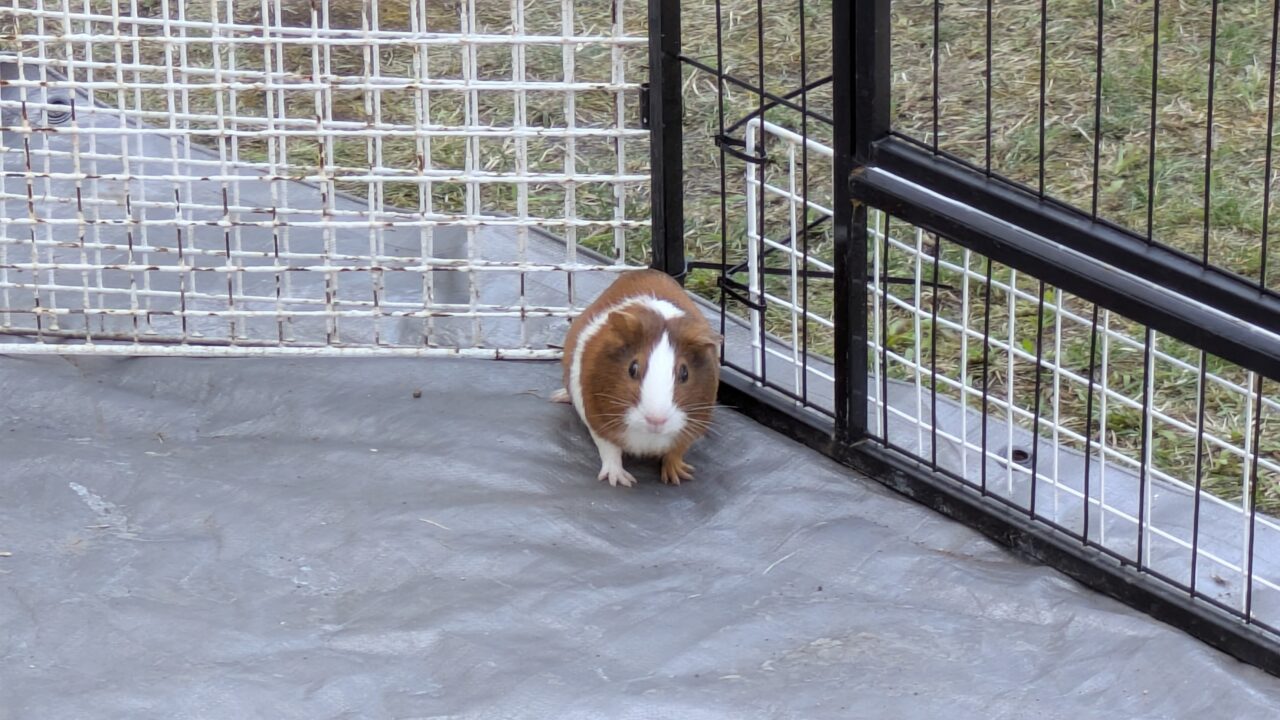 ふれあいランド