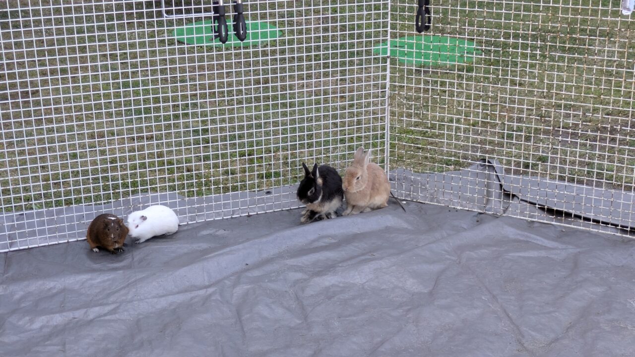 ふれあいランド