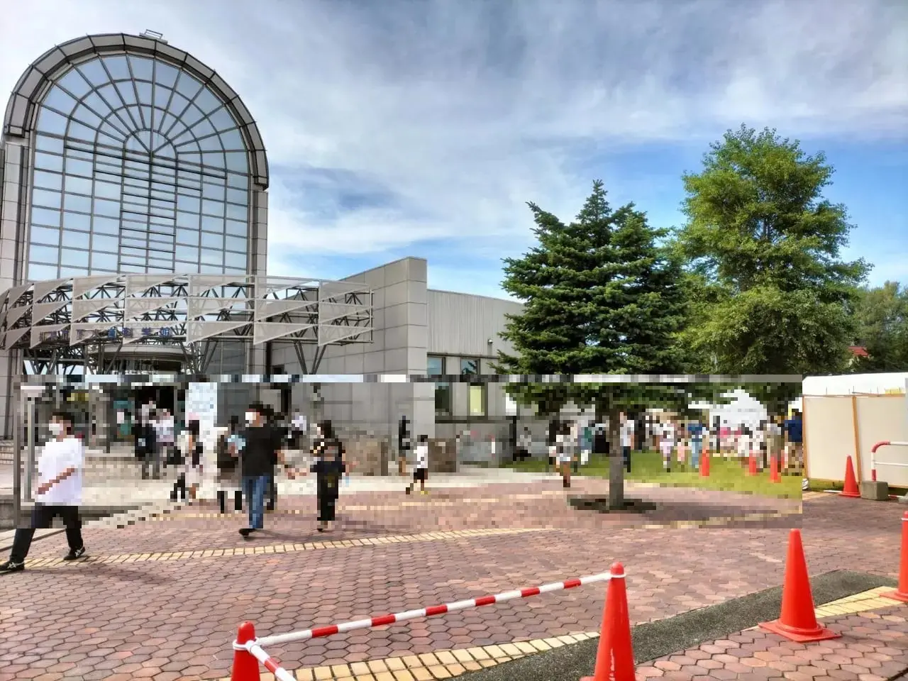 gesuidofesta
